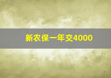 新农保一年交4000