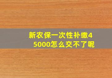 新农保一次性补缴45000怎么交不了呢