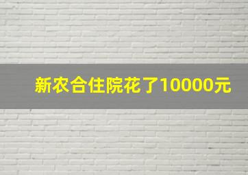 新农合住院花了10000元