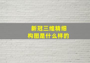 新冠三维精细构图是什么样的