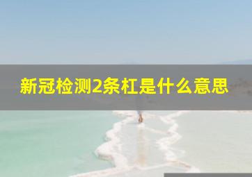 新冠检测2条杠是什么意思