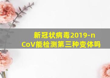 新冠状病毒2019-nCoV能检测第三种变体吗