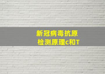 新冠病毒抗原检测原理c和T