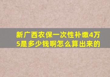 新广西农保一次性补缴4万5是多少钱啊怎么算出来的