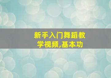 新手入门舞蹈教学视频,基本功