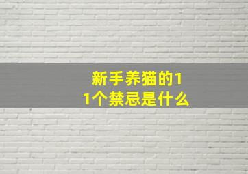 新手养猫的11个禁忌是什么