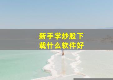 新手学炒股下载什么软件好