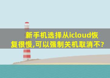 新手机选择从icloud恢复很慢,可以强制关机取消不?