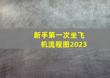 新手第一次坐飞机流程图2023