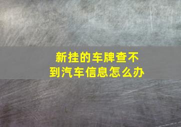 新挂的车牌查不到汽车信息怎么办