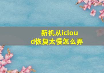 新机从icloud恢复太慢怎么弄