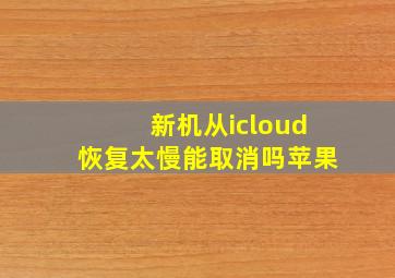 新机从icloud恢复太慢能取消吗苹果