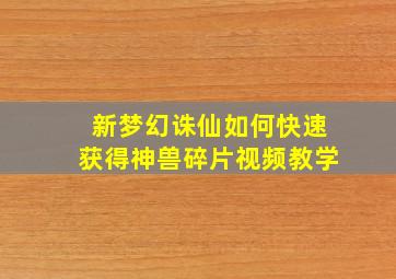 新梦幻诛仙如何快速获得神兽碎片视频教学