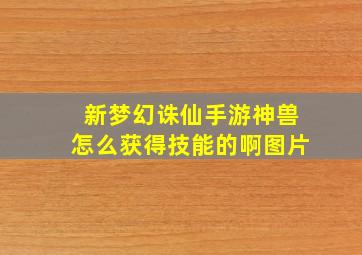 新梦幻诛仙手游神兽怎么获得技能的啊图片