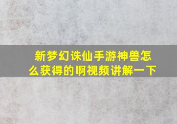 新梦幻诛仙手游神兽怎么获得的啊视频讲解一下