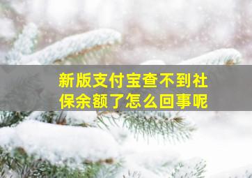 新版支付宝查不到社保余额了怎么回事呢