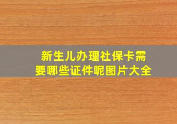 新生儿办理社保卡需要哪些证件呢图片大全