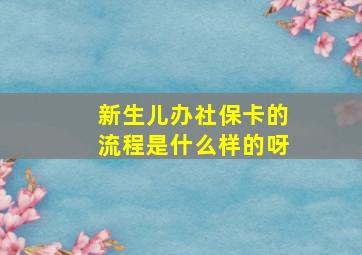 新生儿办社保卡的流程是什么样的呀