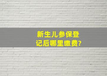 新生儿参保登记后哪里缴费?