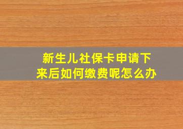 新生儿社保卡申请下来后如何缴费呢怎么办