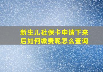 新生儿社保卡申请下来后如何缴费呢怎么查询