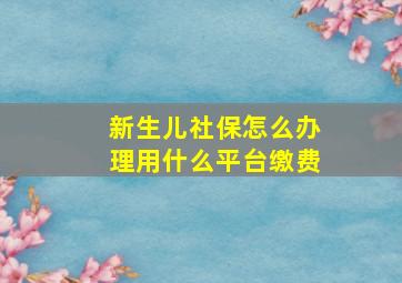 新生儿社保怎么办理用什么平台缴费