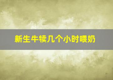 新生牛犊几个小时喂奶