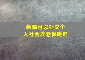 新疆可以补交个人社会养老保险吗