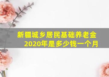 新疆城乡居民基础养老金2020年是多少钱一个月