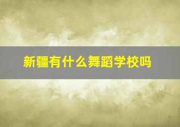 新疆有什么舞蹈学校吗