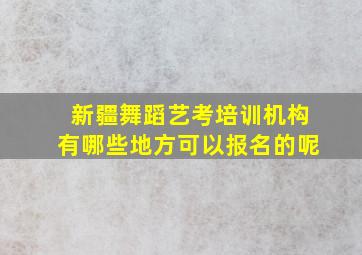 新疆舞蹈艺考培训机构有哪些地方可以报名的呢