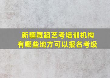 新疆舞蹈艺考培训机构有哪些地方可以报名考级