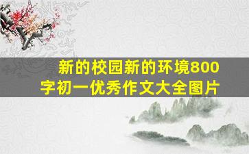 新的校园新的环境800字初一优秀作文大全图片