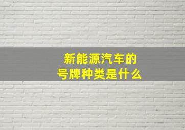 新能源汽车的号牌种类是什么