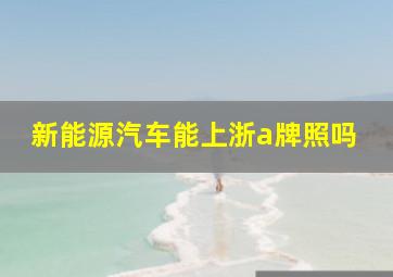 新能源汽车能上浙a牌照吗