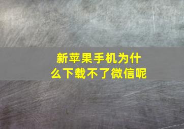 新苹果手机为什么下载不了微信呢