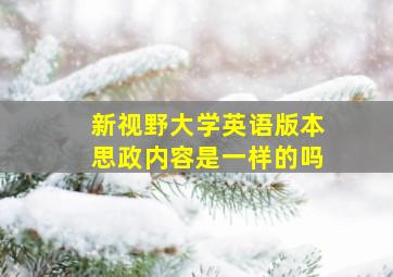 新视野大学英语版本思政内容是一样的吗