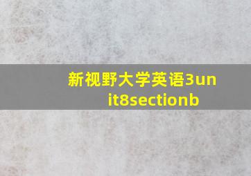 新视野大学英语3unit8sectionb