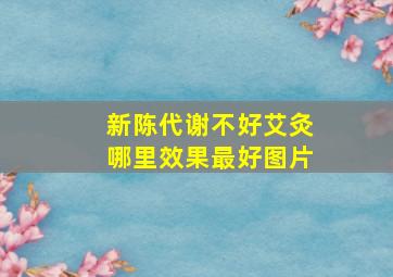 新陈代谢不好艾灸哪里效果最好图片