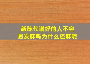 新陈代谢好的人不容易发胖吗为什么还胖呢