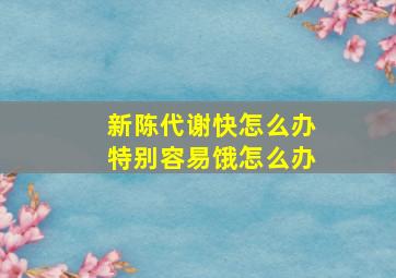 新陈代谢快怎么办特别容易饿怎么办