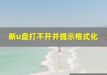 新u盘打不开并提示格式化