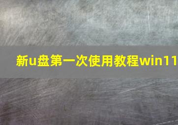 新u盘第一次使用教程win11