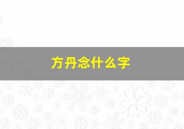 方丹念什么字