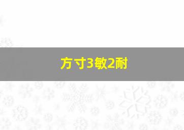 方寸3敏2耐