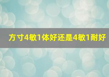 方寸4敏1体好还是4敏1耐好