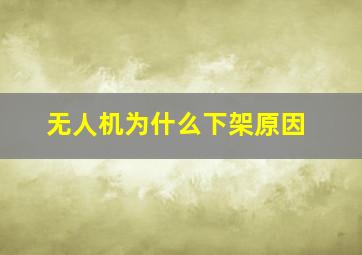 无人机为什么下架原因