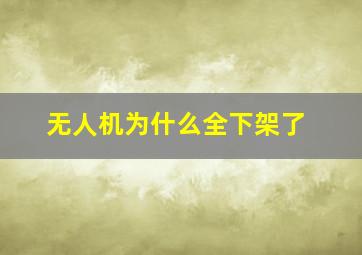 无人机为什么全下架了