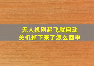 无人机刚起飞就自动关机掉下来了怎么回事