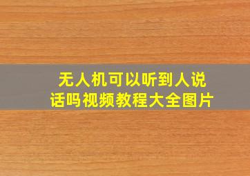 无人机可以听到人说话吗视频教程大全图片